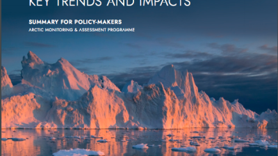 Arctic assessment report