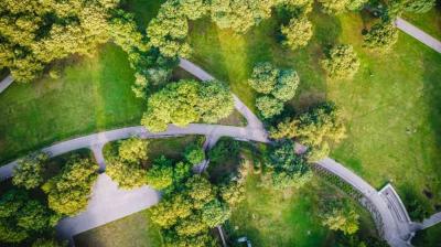 Aerial view of a park with winding paved paths, green grass, and clusters of trees.