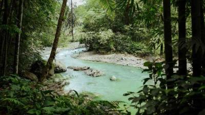 A turquoise river flows through a dense, green tropical forest with rocks and lush vegetation on both banks.