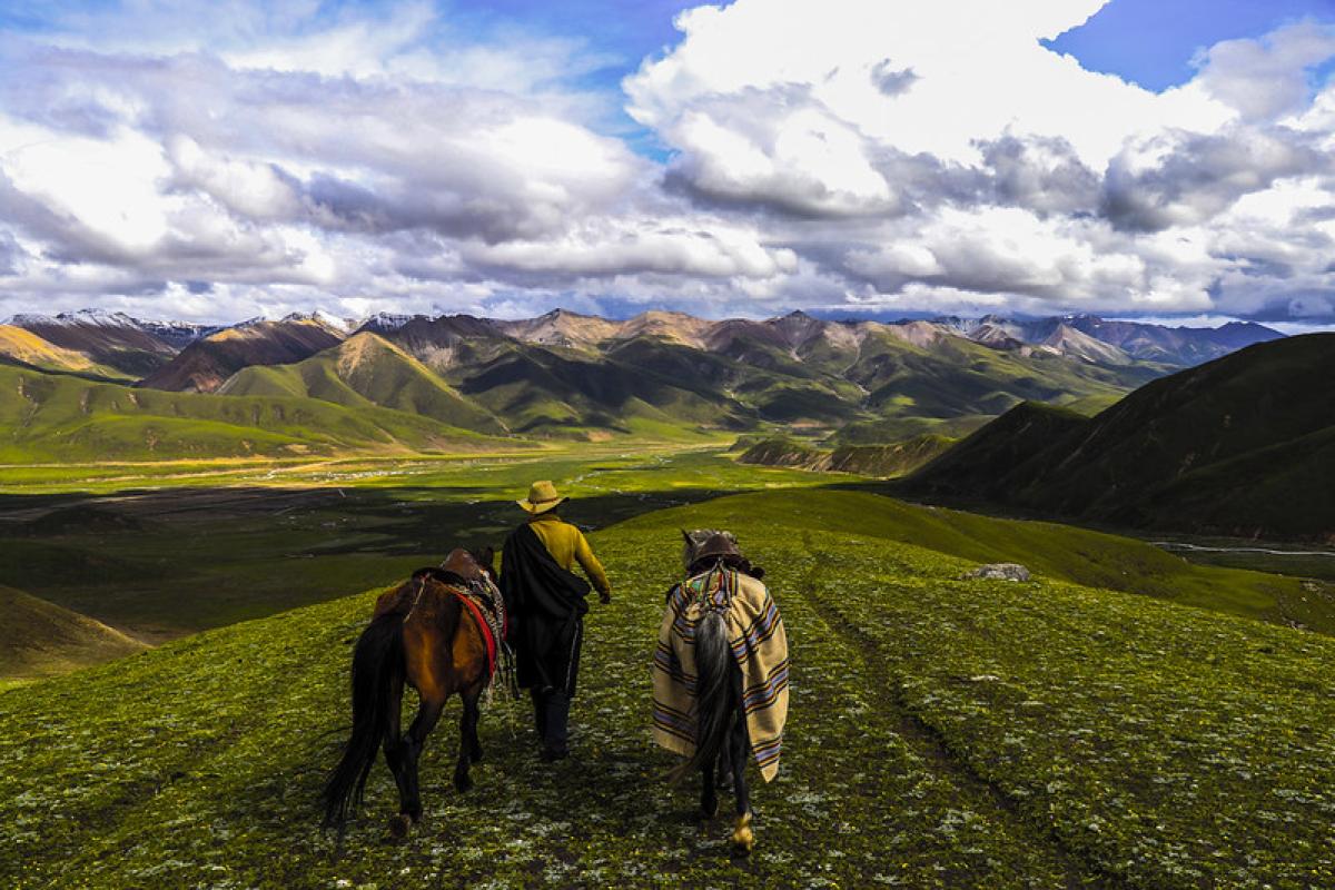 Two people walk with horses across a grassy hill, with mountains and a dramatic sky in the background.