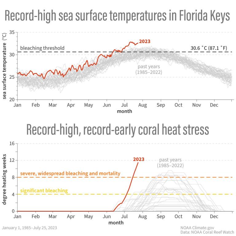 Record high surface temperatures in florida.