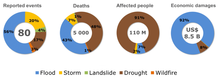 A pie chart showing the percentage of people affected by floods.