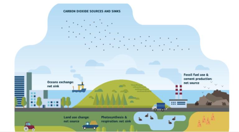 A diagram showing the effects of pollution on the environment.