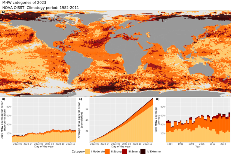 (أ) خريطة عالمية توضح أعلى فئة من موجات الحر البحرية في كل بِكسل خلال عام 2023 (الفترة المرجعية 2011-1982). ويبيّن اللون الرمادي الفاتح عدم حدوث أي موجات حر بحرية في أي بِكسل خلال العام بأكمله؛ (ب) رسم بياني ذو أعمدة متراصة يبيّن النسبة المئوية لأسطح المحيطات التي شهدت موجة حرارية بحرية في أي يوم معيّن من أيام السنة؛ (ج) رسم بياني ذو أعمدة متراصة يبين متوسط العدد التراكمي لموجات الحر البحرية على سطح المحيط؛ (د) رسم بياني ذو أعمدة متراصة يبيّن إجمالي النسبة المئوية لأسطح المحيطات التي شهدت موجة حر بحرية