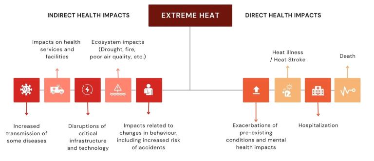 A chart showing the direct and indirect health impacts of extreme heat. Indirect impacts include disease transmission and infrastructure disruption. Direct impacts include heat illness, hospitalization, and death.