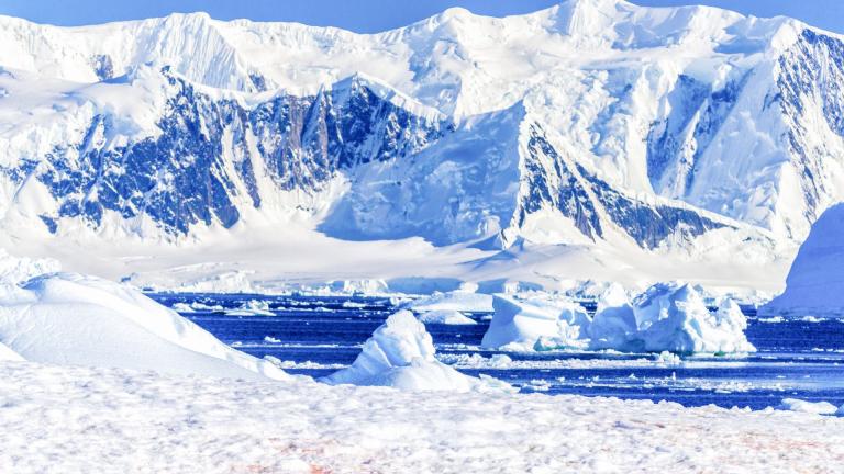 Snow-covered mountains and icebergs in a clear blue sea under a bright sky.