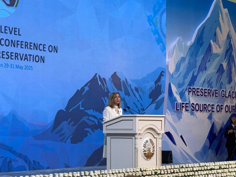 A woman stands at a podium speaking at a high-level conference on glacier preservation, with a mountain-themed backdrop and a slogan about glaciers as the life source of our planet.