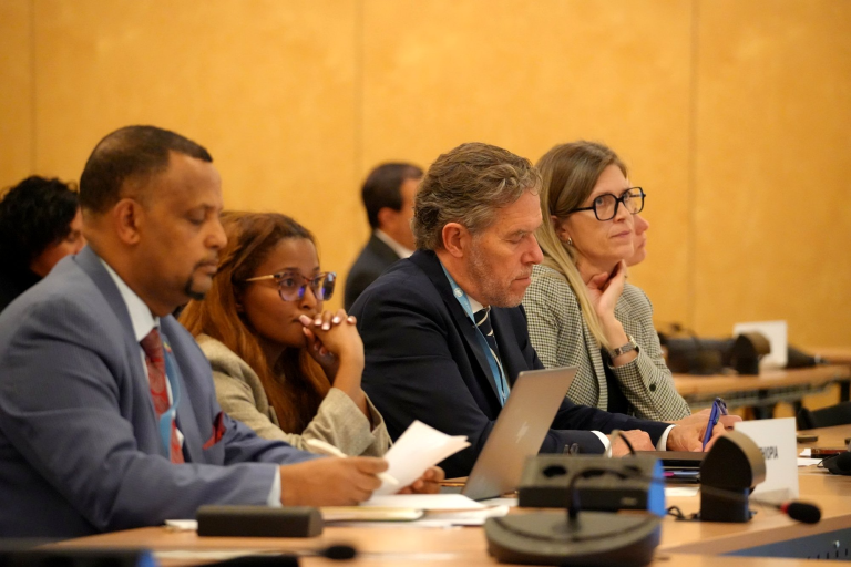 H.E. Ambassador Haileselassie Subba Gebru, Deputy Permanent Representative of Ethiopia to the United Nations, and H.E. Ambassador Ib Petersen, Permanent Representative of Denmark, with members of their respective delegations.