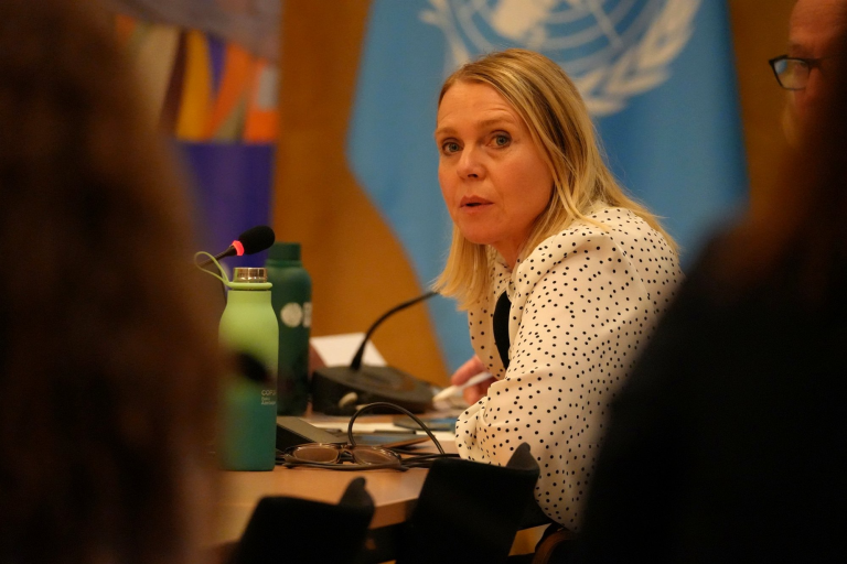 Vanessa Gray, Head of Climate and Emergency Telecommunications at the International Telecommunication Union (ITU), speaking during the briefing.