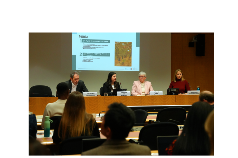 Four panelists sit at a long table in front of an audience, speaking at a conference or meeting, with an agenda projected on the screen behind them.