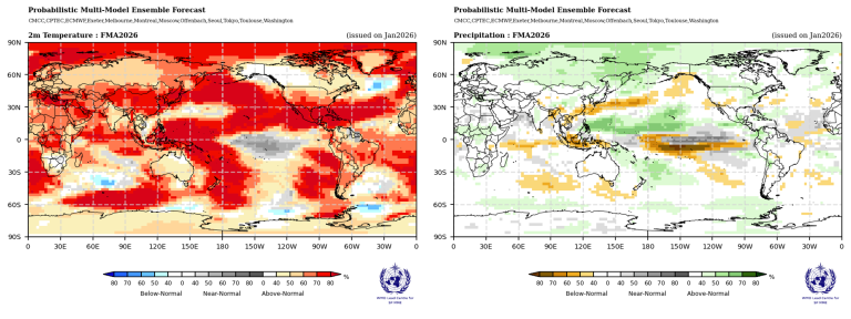 Side-by-side world maps show forecast probabilities for 2m temperature (left, mostly above normal in red) and precipitation (right, mixed above/below normal), June-August 2024.