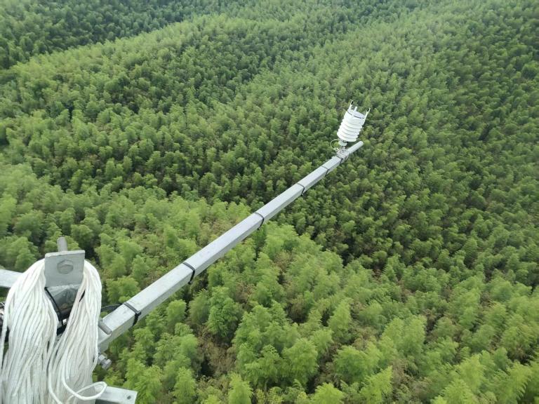 A weather instrument mounted on a long metal arm extends over a dense forest canopy, photographed from an elevated perspective.