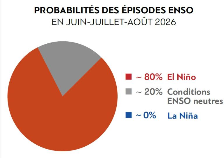 Diagramme circulaire montrant les probabilités d'épisodes ENSO en juin-juillet-août 2026 : environ 80 % d'El Niño, environ 20 % de conditions ENSO neutres et environ 0 % de La Niña.