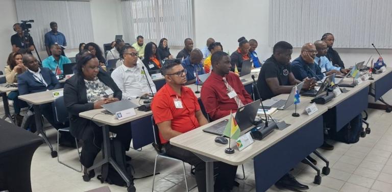 Caribbean CAP Workshop.jpg People seated at desks with laptops and national flags attend a meeting or workshop in a conference room.