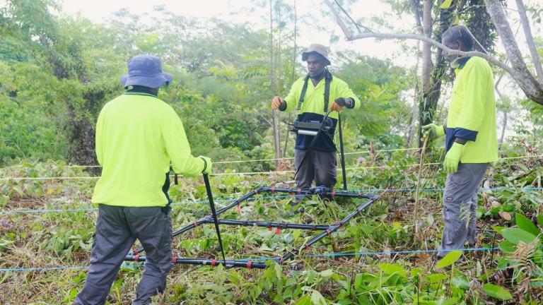 Three people wearing yellow shirts and hats use a metal frame and poles to survey vegetation in a forested area.