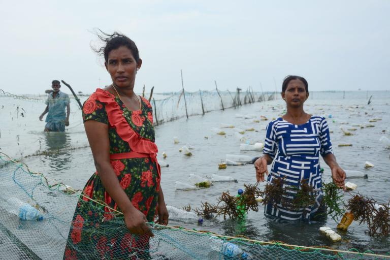 Three women stand in shallow water tending to seaweed, surrounded by floating plastic bottles and debris, on a cloudy day.