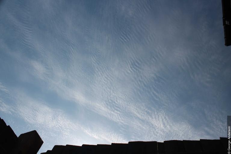 This picture shows an area of Cirrocumulus stratiformis undulatus. The cloud is identified as Cirrocumulus by the very small, and hence high-level, white cloud elements that are without shading and in the form of grains or ripples.
