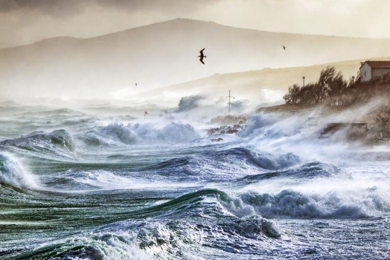 Strong waves crash against a rocky coast under a cloudy sky, with birds flying above and a house visible on the right.