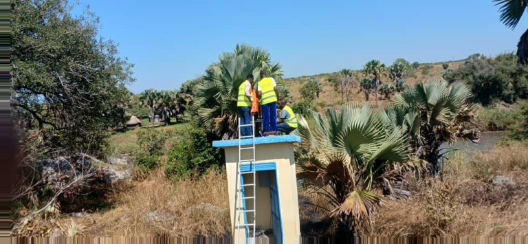 Three people in high-visibility vests stand on the flat roof of a small building, with a ladder leaning against it in a palm-filled landscape.