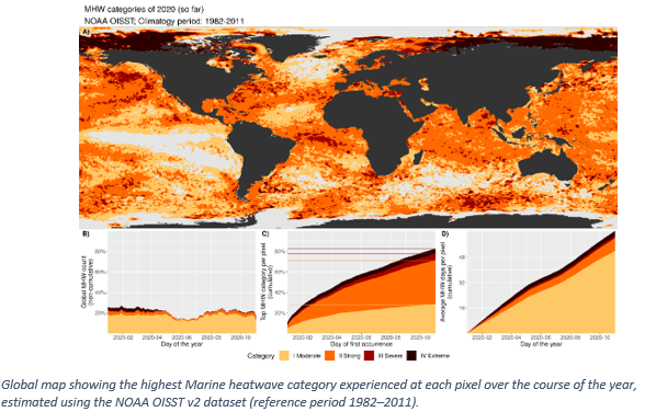 Global map showing the highest Marine heatwave category  12-20