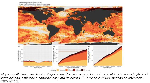 Mapa mundial que muestra la categoría superior de olas de calor marinas 