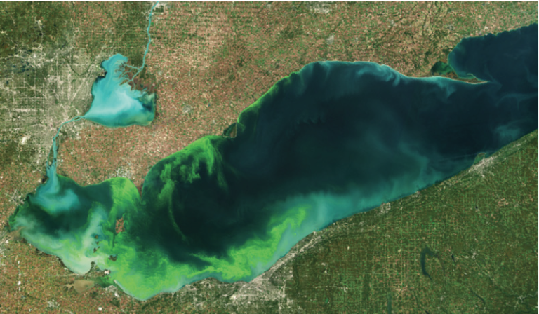 Algal_bloom_NOAA