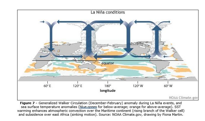 Generalized Walker Circulation (December-February) anomaly during La Niña events,