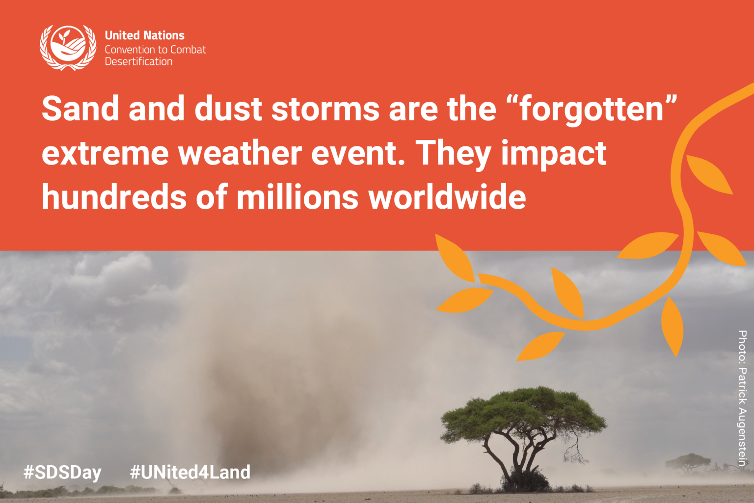 WMO Highlights Efforts To Tackle Sand And Dust Storms