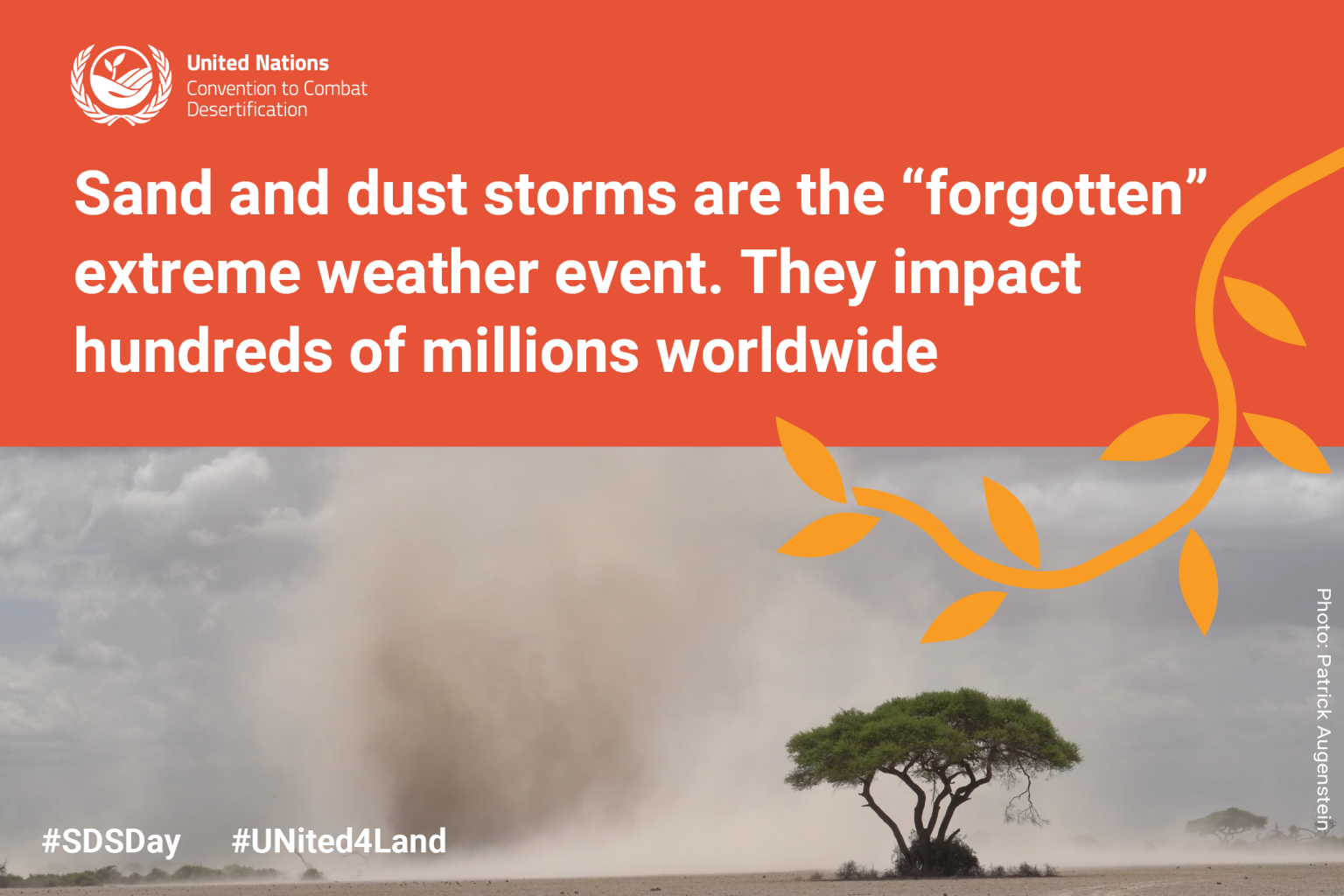WMO highlights efforts to tackle sand and dust storms