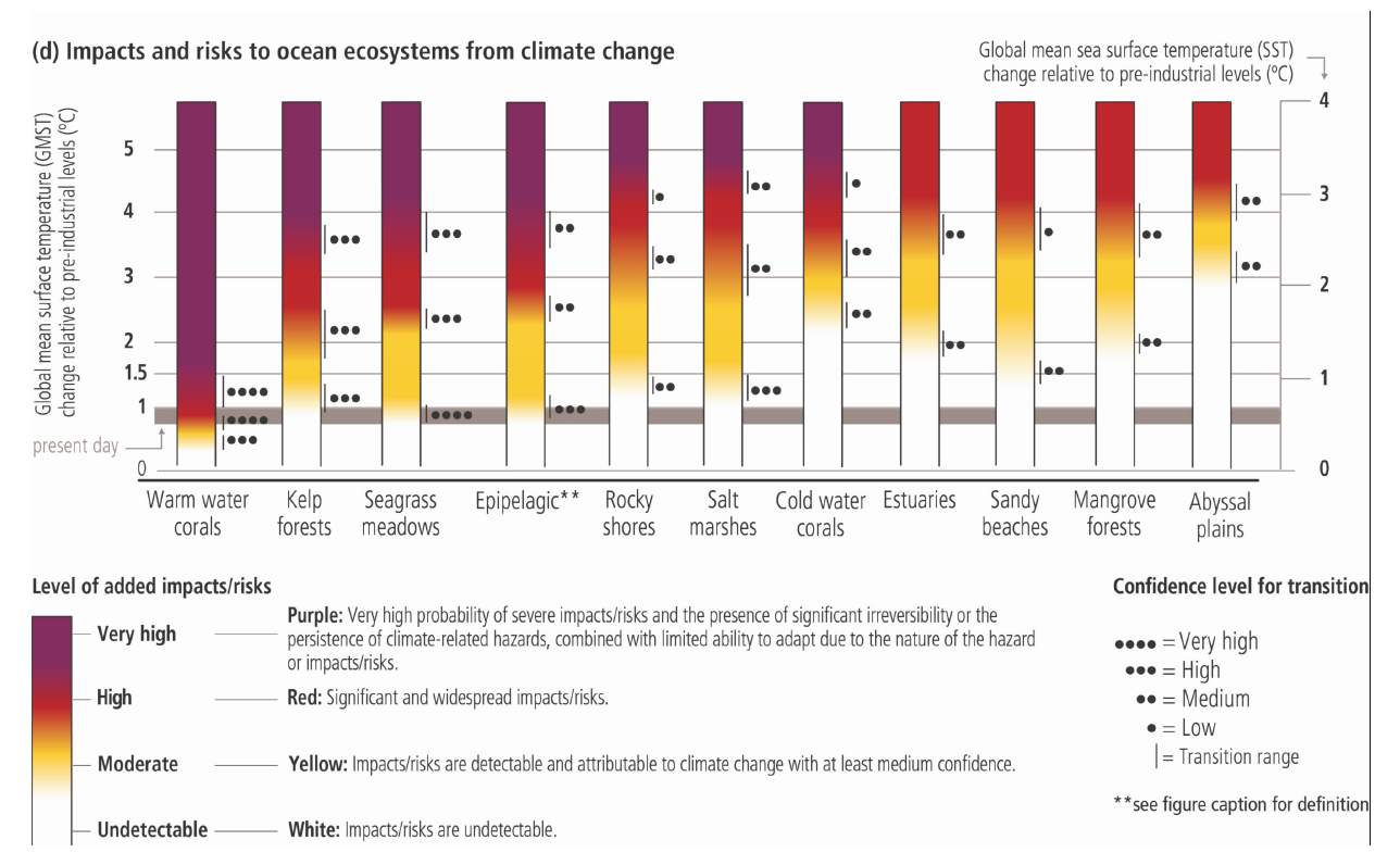 Ocean-Climate Nexus