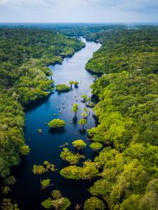A river winds through dense, lush rainforest under a cloudy sky, with green trees and vegetation lining both sides of the water.