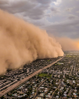 A huge cloud of sand blows over a city.