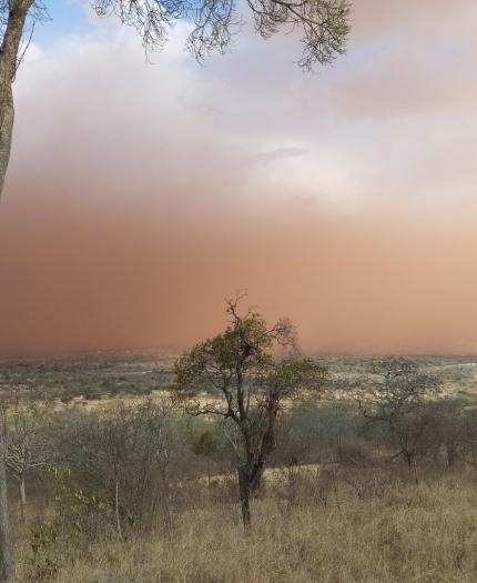 A cloud of dust over a hill with trees in the background.