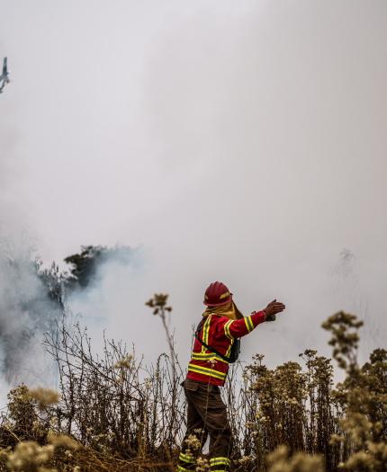 A firefighter is standing in a field near a helicopter.