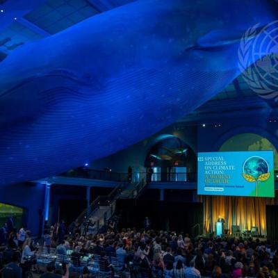 A large hall with a giant whale model hanging from the ceiling, a crowd seated below, and a speaker addressing the UN Climate Action event, as shown on the illuminated screen in the background.