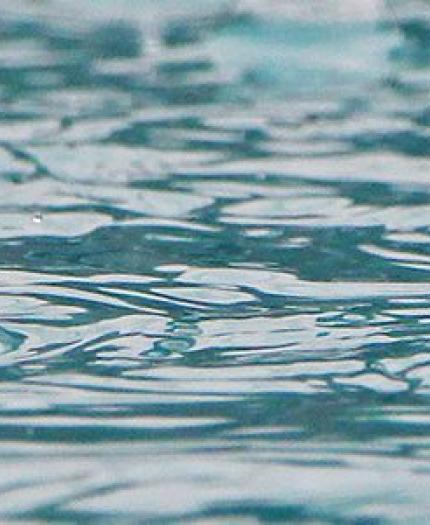 Raindrops hitting the surface of a body of water, creating ripples and small splashes.