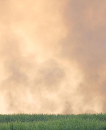 Distant smoke rises above a green grassy field, with a single tree partially visible through the haze in the background.