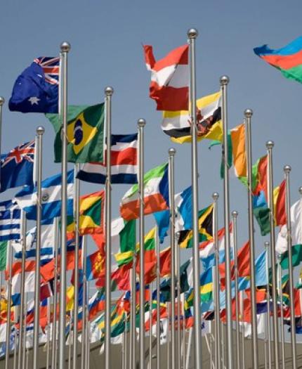 Numerous international flags on poles, waving against a clear sky. A logo in the corner reads "Vozes do G20 Perspectivas Cidadãs.