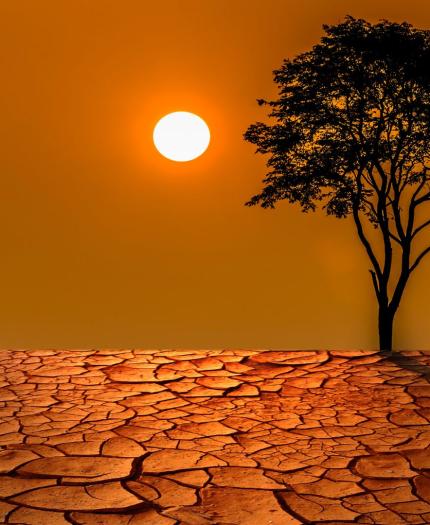 A barren landscape with dry, cracked earth, a single tree, and the sun low on the horizon against an orange sky.