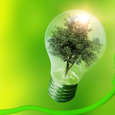 A light bulb with a tree inside symbolizes green energy. A green electrical plug extends from the bulb against a bright green background.