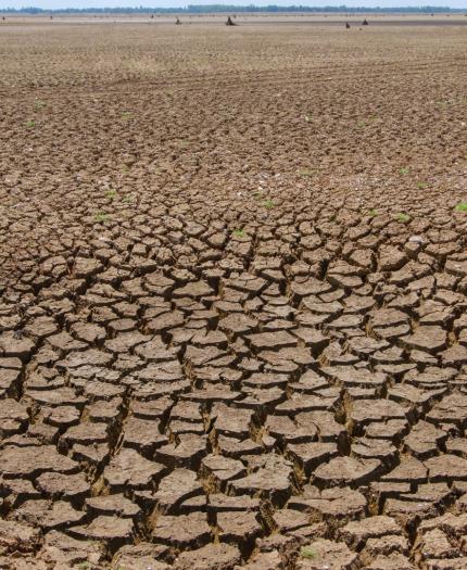 Cracked, dry earth extending to the horizon, with a clear sky above and few small plants visible in the distance.