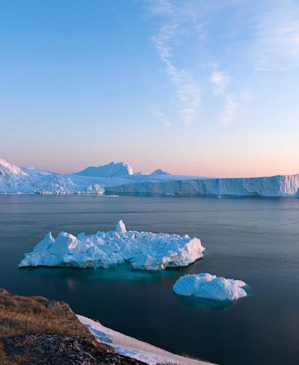 Icebergs float in a calm sea under a clear sky at sunrise, with a rocky shoreline in the foreground.