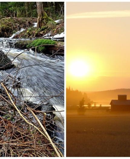 A collage of four seasonal images: snowy trees in winter, a rushing stream in spring, a sunset over fields in summer, and wind-blown trees by a cabin in autumn.