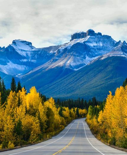 A paved road leads through a forest of yellow and green trees, toward a snow-covered mountain range under a cloudy sky.