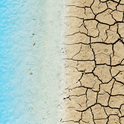 Aerial view of contrasting landscapes: vibrant blue water on the left and cracked, dry earth on the right.