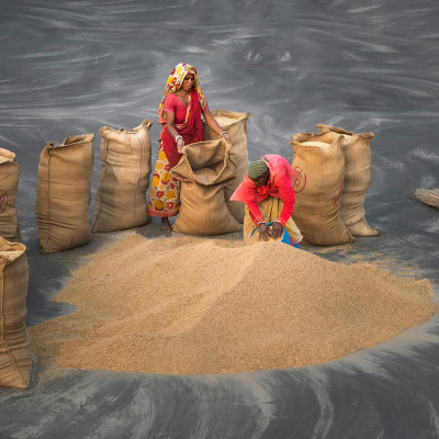 Two women work with a pile of grain, filling large burlap sacks arranged in a circle on a dark, textured ground. A broom and an empty sack lie nearby.