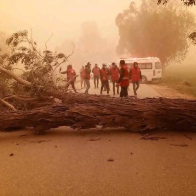 A fallen tree blocks a road as several people in red uniforms stand nearby with an emergency vehicle in smoky conditions.