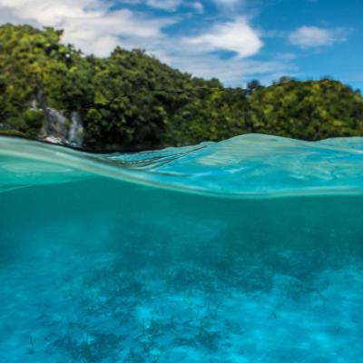 A split-level view of clear blue ocean water with an underwater scene below and green, tree-covered islands and a cloudy sky above the surface.