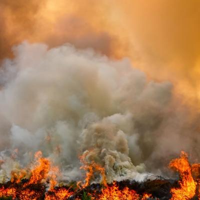 Large wildfire with thick smoke billowing into the air, flames burning through vegetation, and an orange sky in the background.