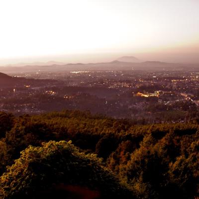 Elevated view of a city at sunset with dense trees in the foreground, city lights appearing as the sun sets, and mountains visible in the distant background.